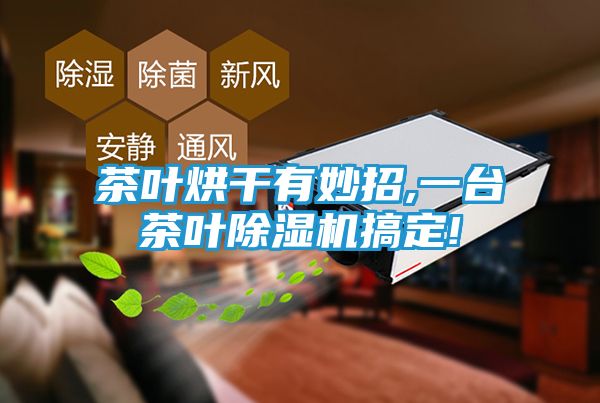 茶叶烘干有妙招,一台茶叶除湿机搞定!