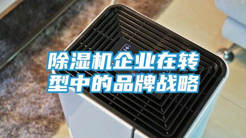 除湿机企业在转型中的品牌战略