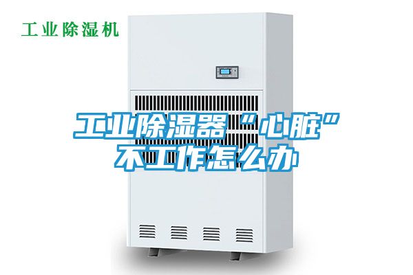 工业除湿器“心脏”不工作怎么办