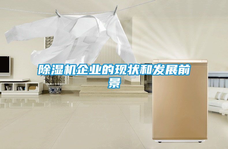 除湿机企业的现状和发展前景