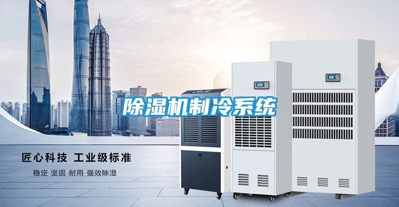 除湿机制冷系统