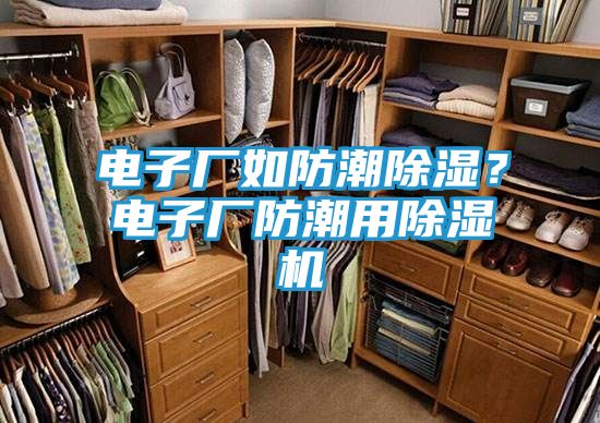 电子厂如防潮除湿？电子厂防潮用除湿机