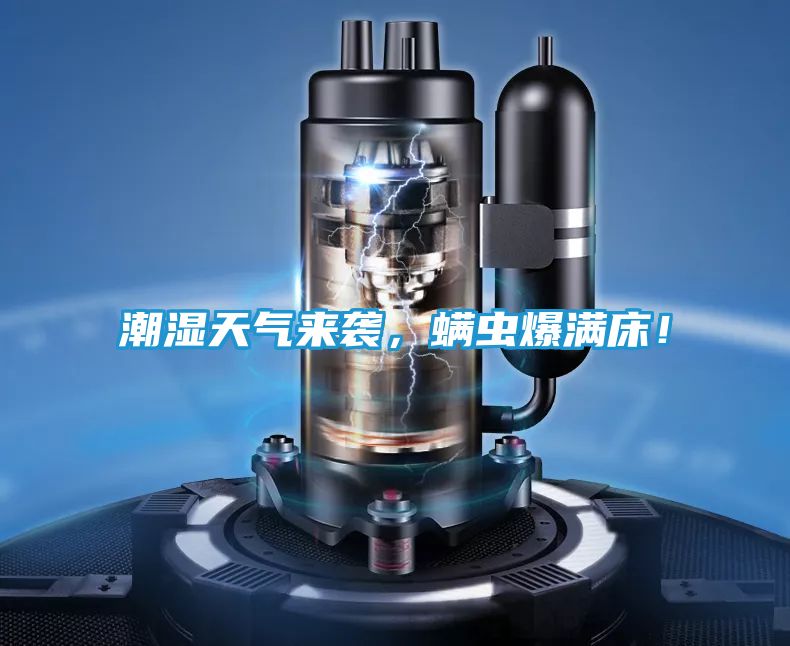 潮湿天气来袭，螨虫爆满床！