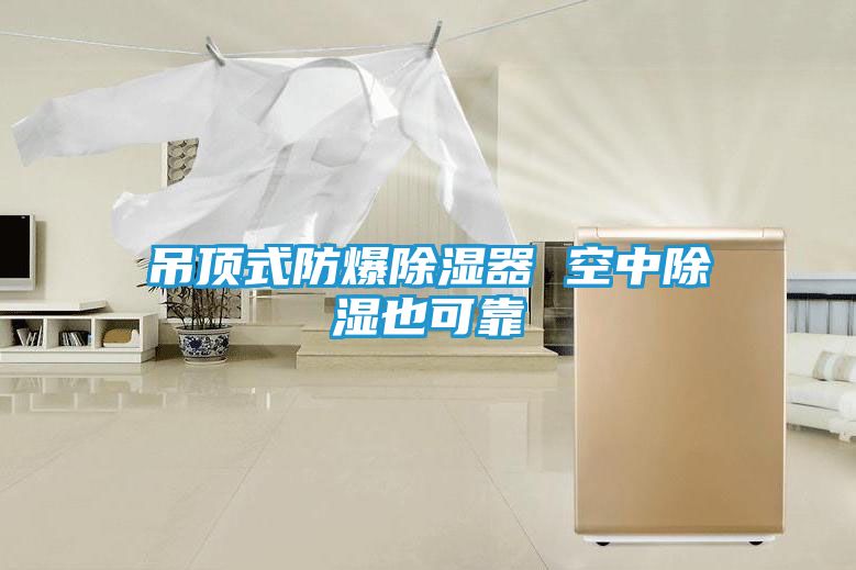 吊顶式防爆除湿器 空中除湿也可靠