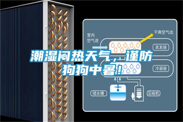 潮湿闷热天气，谨防狗狗中暑！