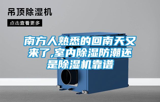 南方人熟悉的回南天又来了,室内除湿防潮还是除湿机靠谱