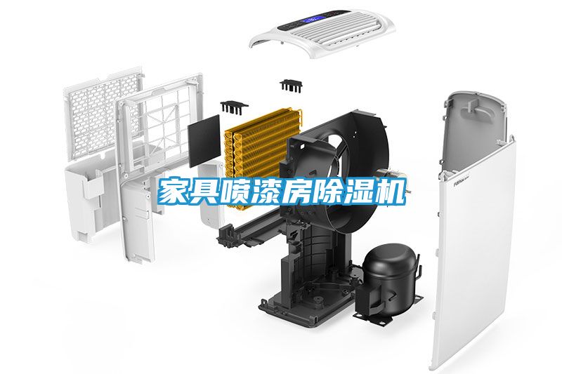 家具喷漆房除湿机