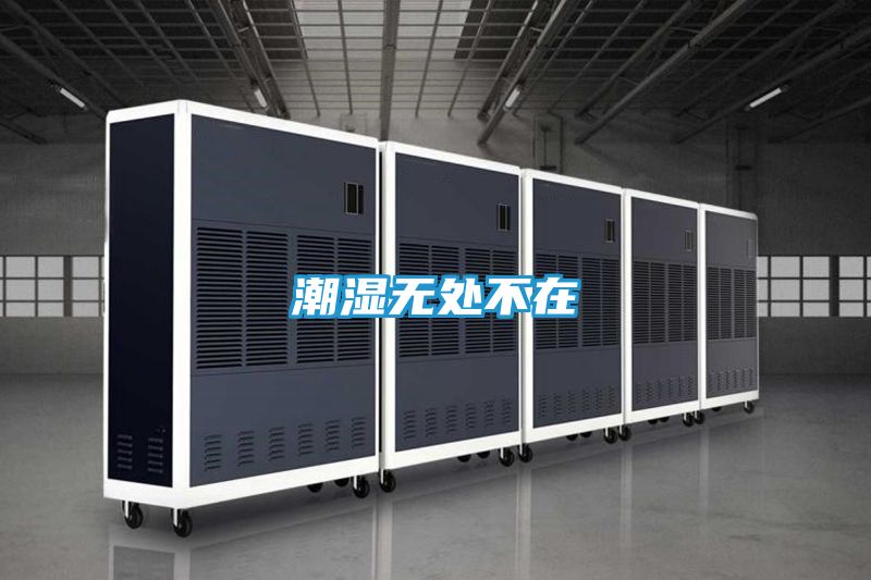 潮湿无处不在