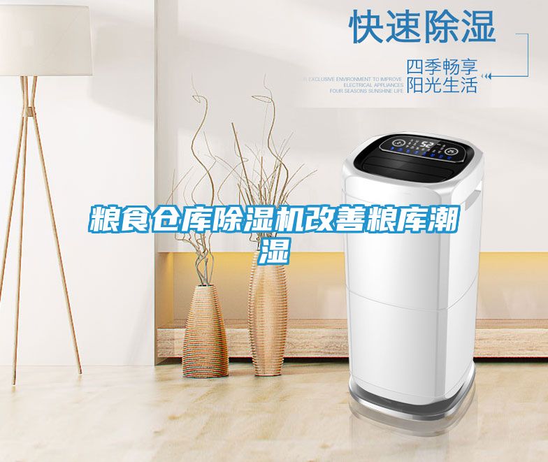 粮食仓库除湿机改善粮库潮湿