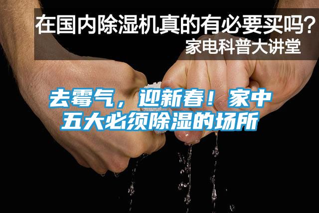 去霉气，迎新春！家中五大必须除湿的场所