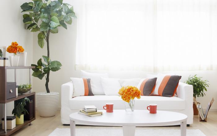 常开除湿机,不怕潮湿来