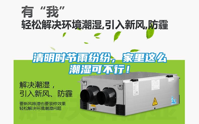 清明时节雨纷纷，家里这么潮湿可不行！