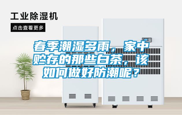 春季潮湿多雨，家中贮存的那些白茶，该如何做好防潮呢？