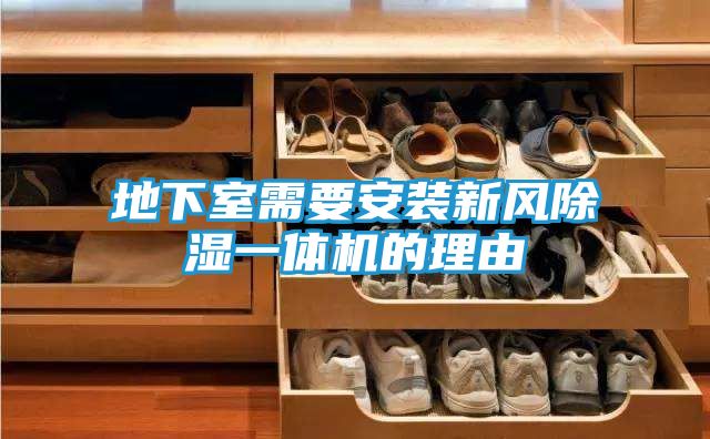 地下室需要安装新风除湿一体机的理由