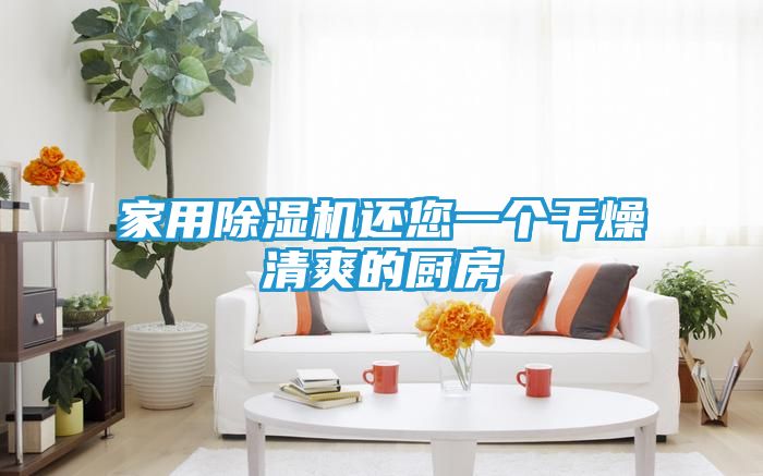 家用除湿机还您一个干燥清爽的厨房