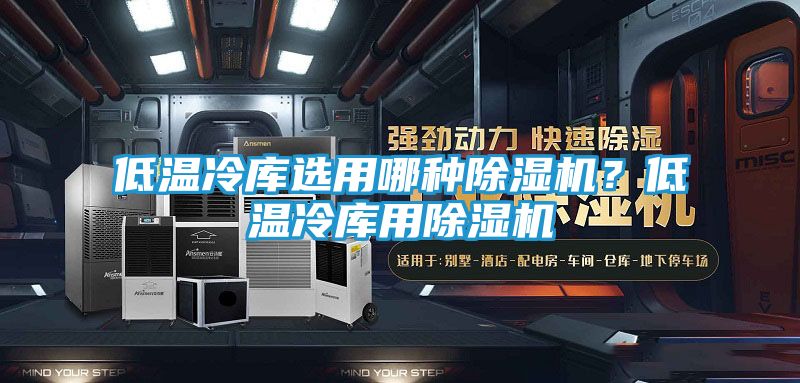 低温冷库选用哪种除湿机？低温冷库用除湿机