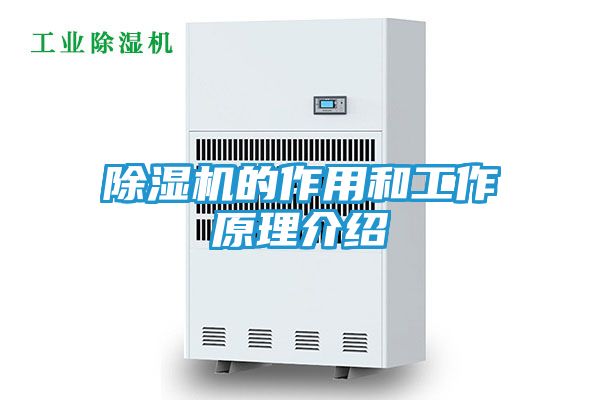 除湿机的作用和工作原理介绍