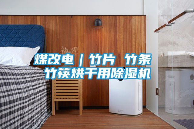 煤改电｜竹片 竹条 竹筷烘干用除湿机
