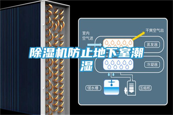 除湿机防止地下室潮湿