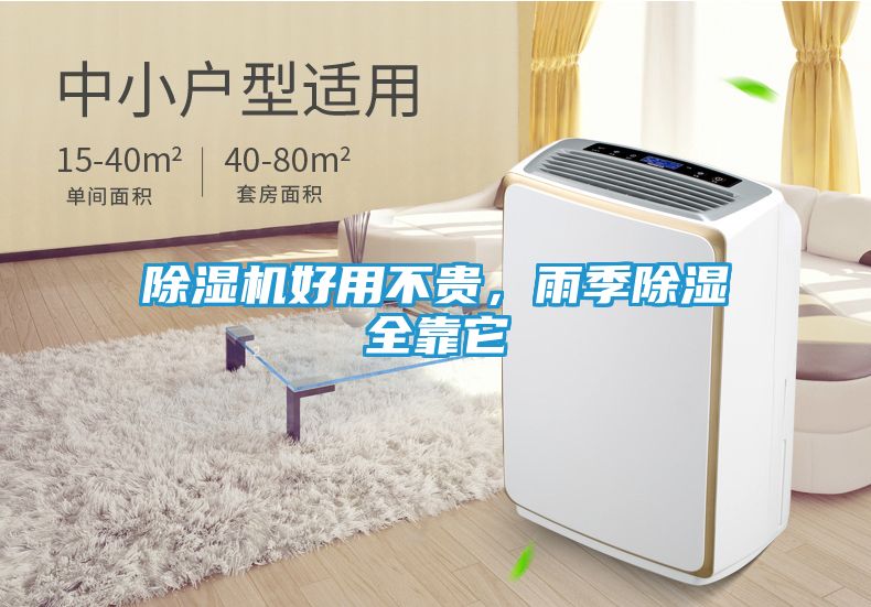 除湿机好用不贵，雨季除湿全靠它