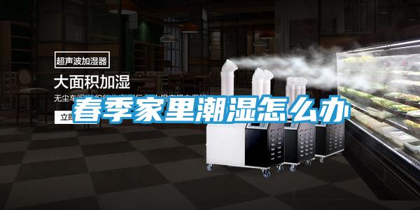 春季家里潮湿怎么办