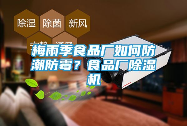 梅雨季食品厂如何防潮防霉？食品厂除湿机
