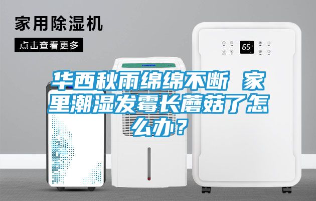 华西秋雨绵绵不断 家里潮湿发霉长蘑菇了怎么办？