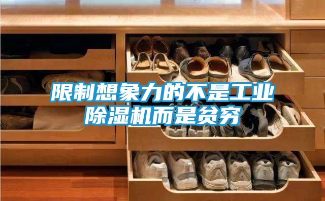 限制想象力的不是工业除湿机而是贫穷