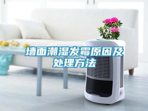 墙面潮湿发霉原因及处理方法