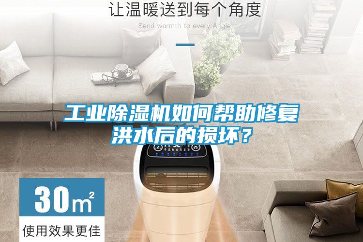 工业除湿机如何帮助修复洪水后的损坏？