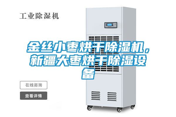 金丝小枣烘干除湿机，新疆大枣烘干除湿设备