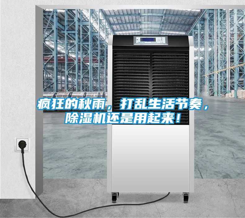 疯狂的秋雨，打乱生活节奏，除湿机还是用起来！