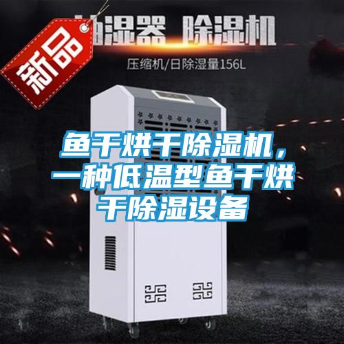 鱼干烘干除湿机，一种低温型鱼干烘干除湿设备