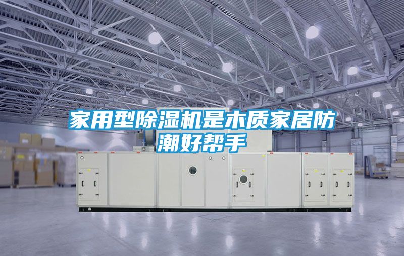 家用型除湿机是木质家居防潮好帮手