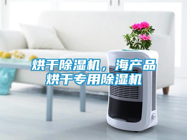 烘干除湿机，海产品烘干专用除湿机
