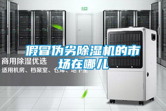 假冒伪劣除湿机的市场在哪儿