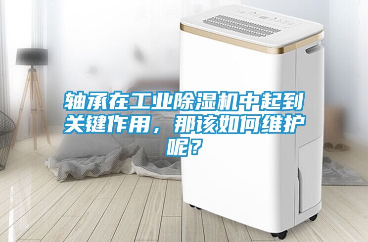 轴承在工业除湿机中起到关键作用，那该如何维护呢？