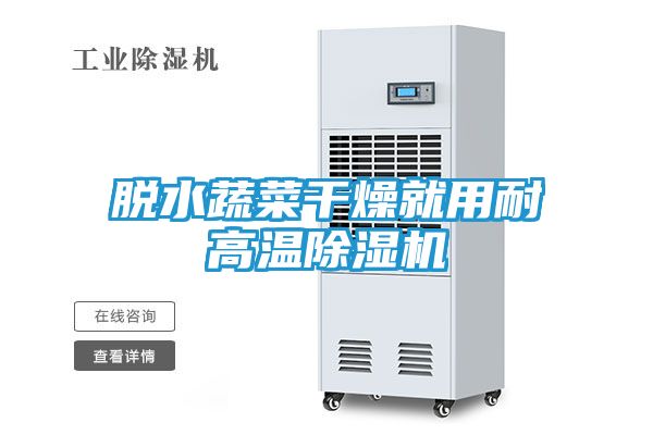 脱水蔬菜干燥就用耐高温除湿机