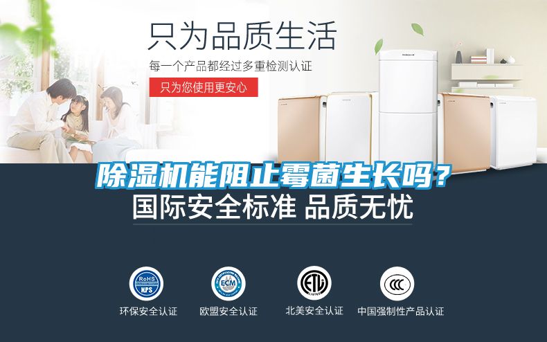 除湿机能阻止霉菌生长吗？