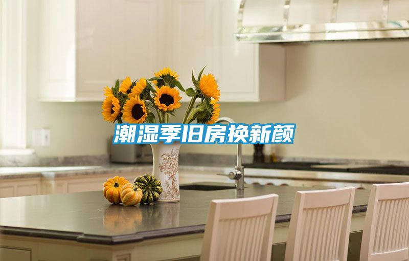 潮湿季旧房换新颜