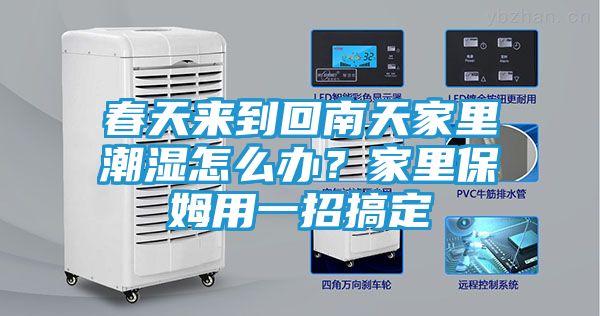 春天来到回南天家里潮湿怎么办？家里保姆用一招搞定