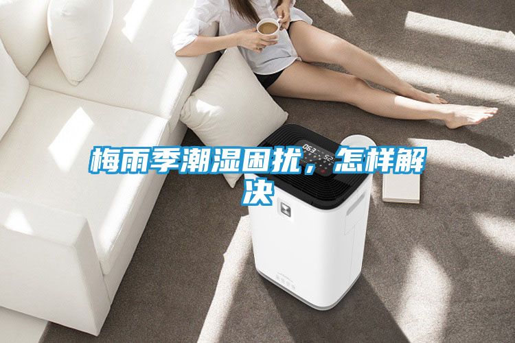 梅雨季潮湿困扰，怎样解决
