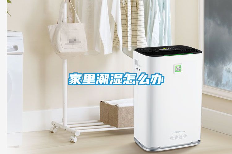 家里潮湿怎么办