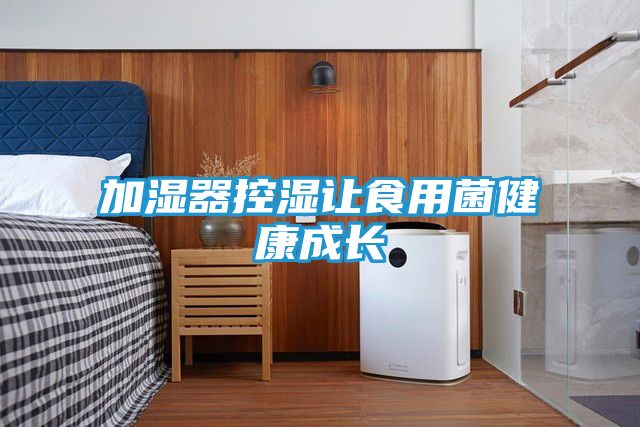 加湿器控湿让食用菌健康成长