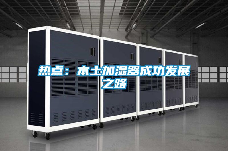 热点：本土加湿器成功发展之路