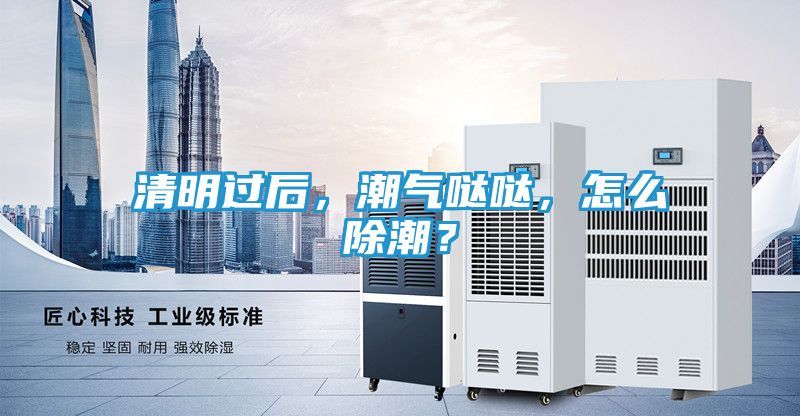 清明过后，潮气哒哒，怎么除潮？