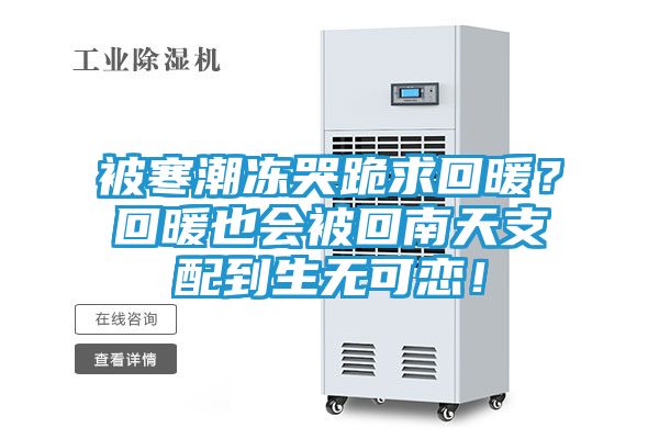 被寒潮冻哭跪求回暖？回暖也会被回南天支配到生无可恋！
