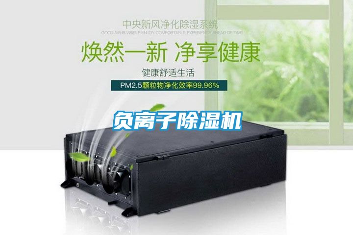 负离子除湿机