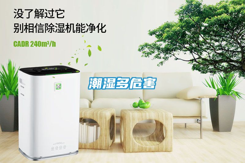 潮湿多危害