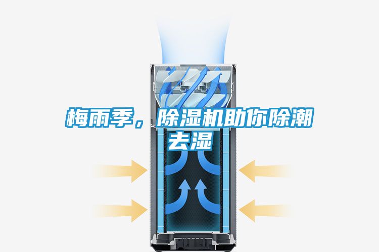 梅雨季，除湿机助你除潮去湿
